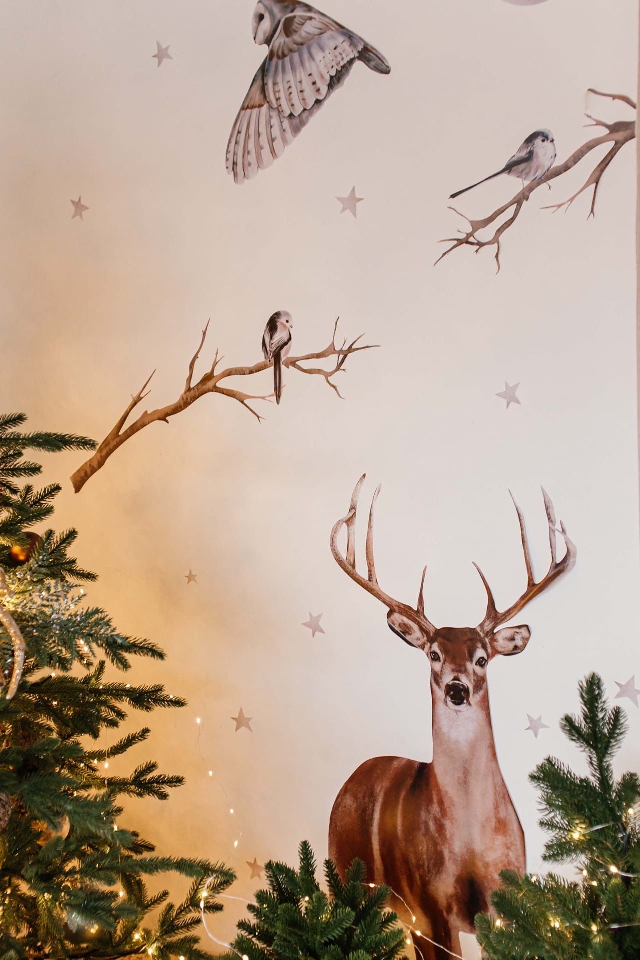 Аренда фотостудии Domik Зал Family в Новосибирске | Фото 