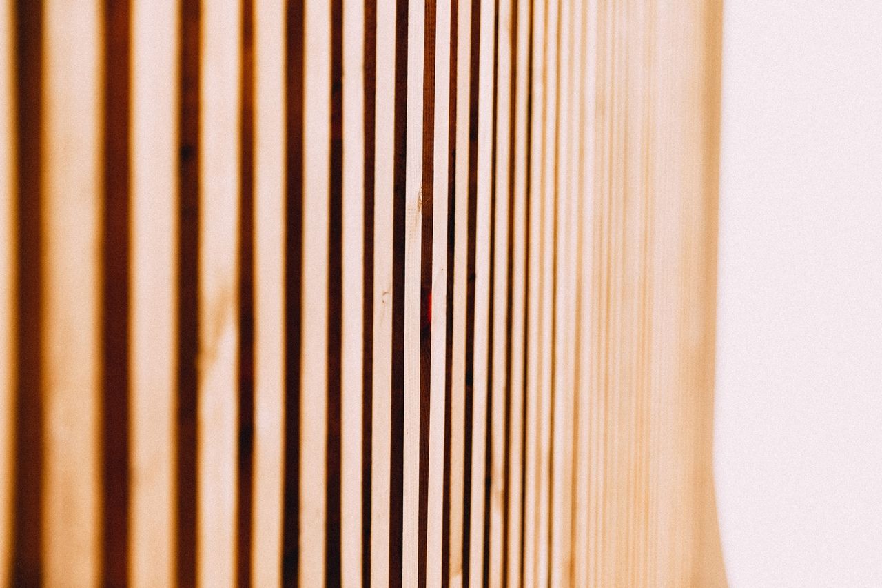 Аренда фотостудии Клюква Зал Клюква  В Ульяновске | Фото 