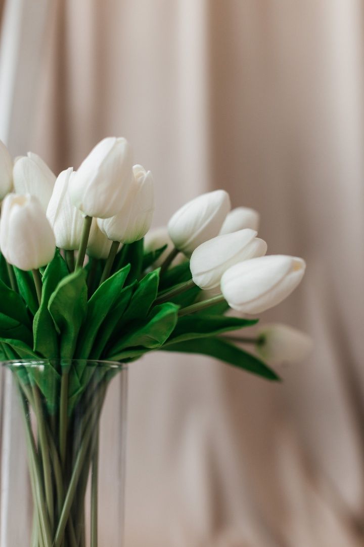 Изображение статьи