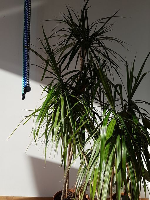 Аренда фотостудии Matey Studio Зал Основной  в Воронеже | Фото 