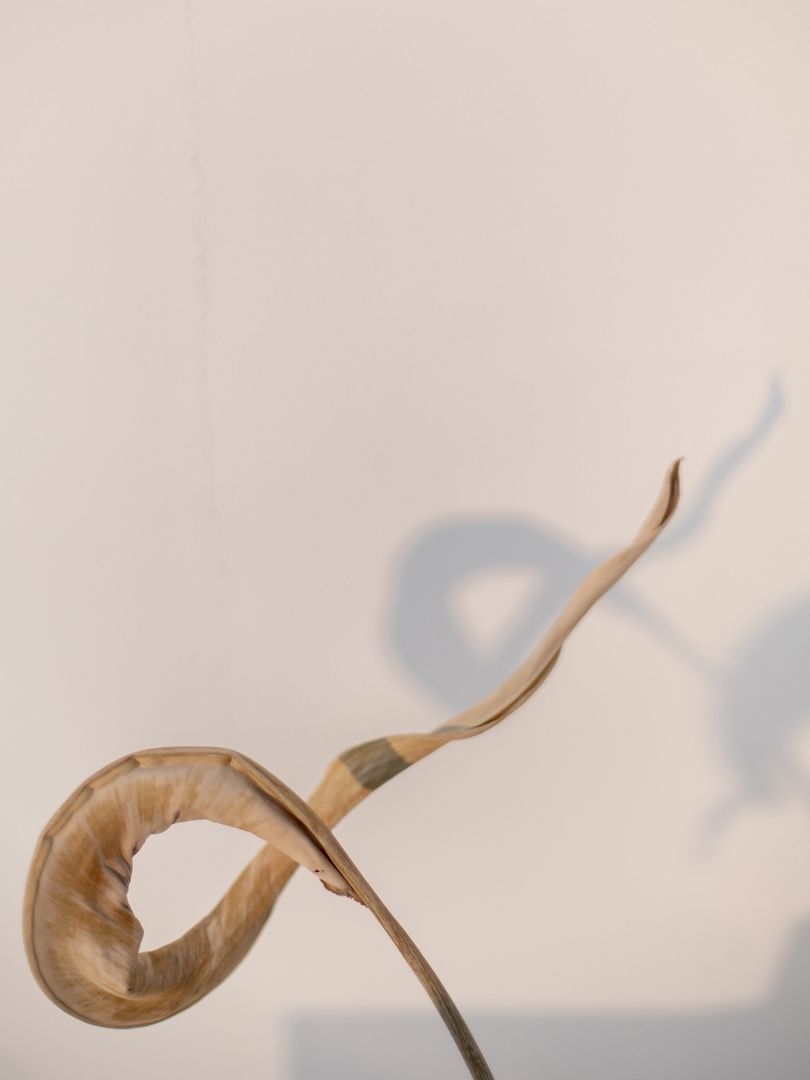 Аренда фотостудии Vladislav Smirnov Зал White  в Иваново | Фото 