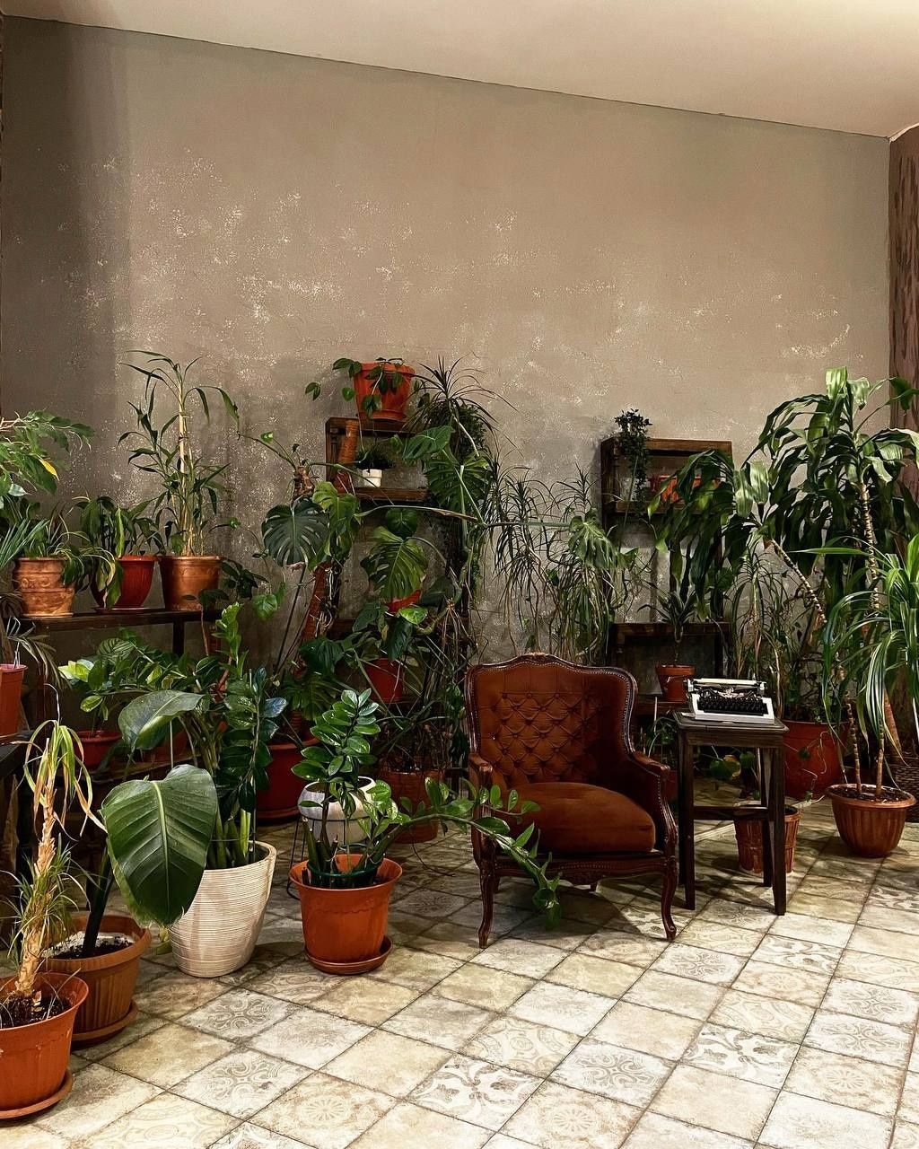 Аренда фотостудии Locus Studio Зал Оранжерея в Казани | Фото 