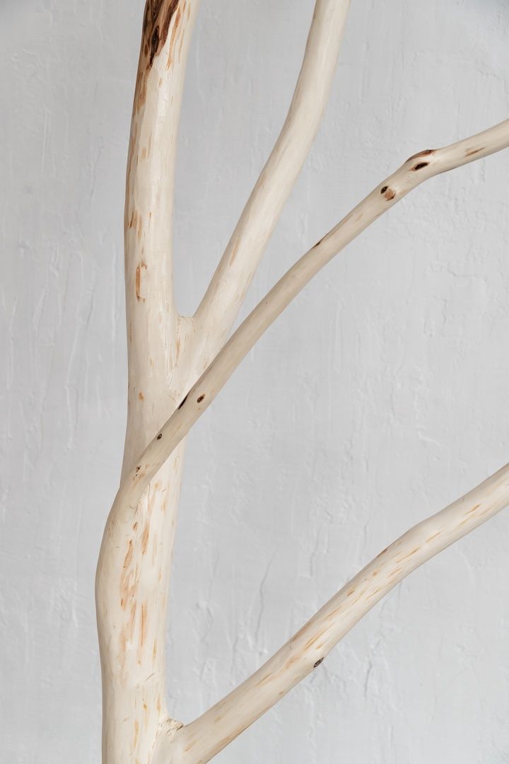 Аренда фотостудии FOCUS Зал SPACE  в Санкт-Петербурге | Фото 