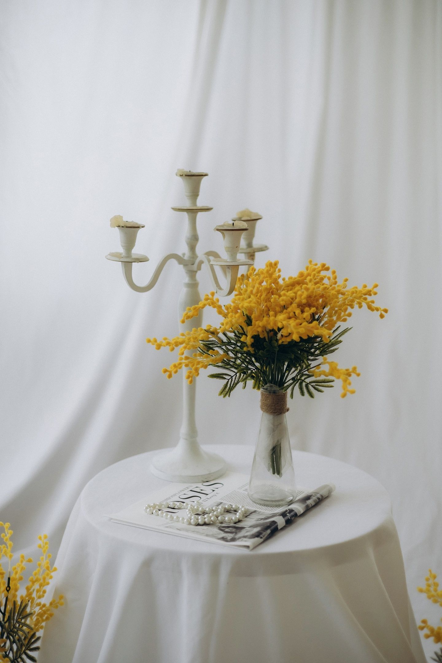 Аренда фотостудии Птичка Зал Основной  в Смоленске | Фото 