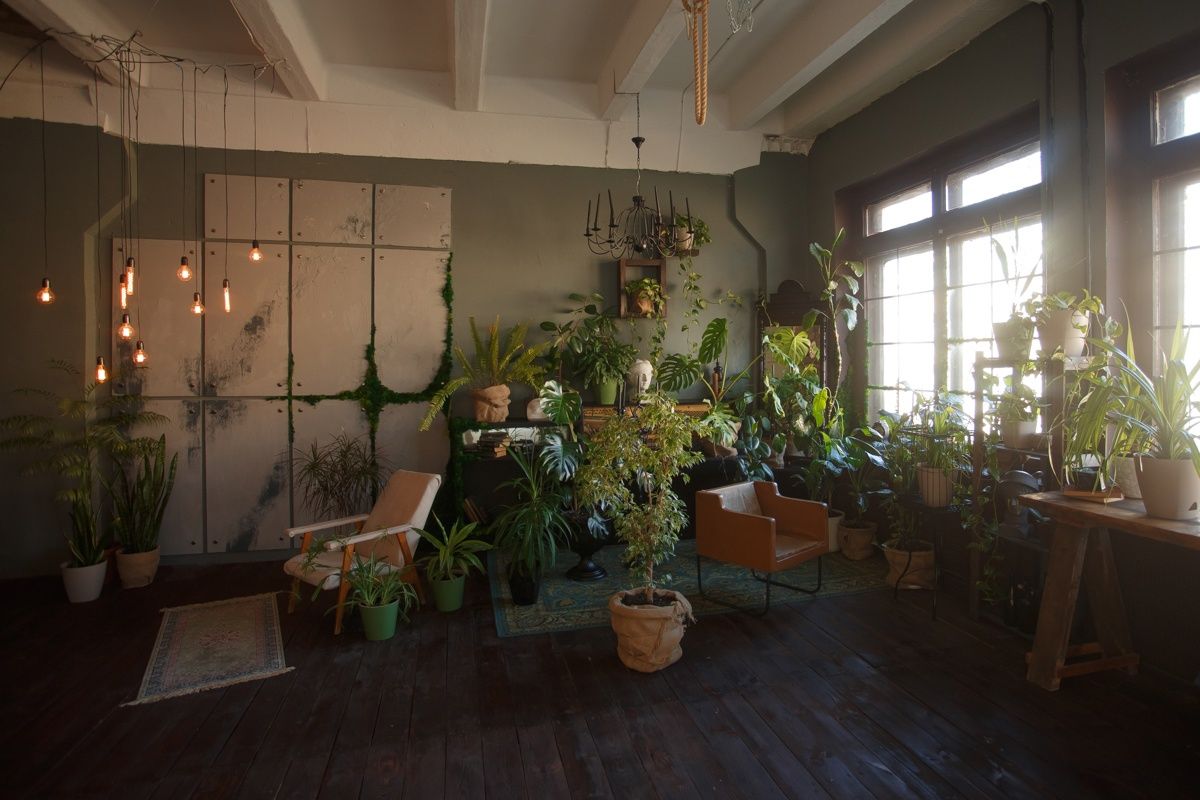 Аренда фотостудии Kalinka Зал Основной  В Белгороде | Фото 