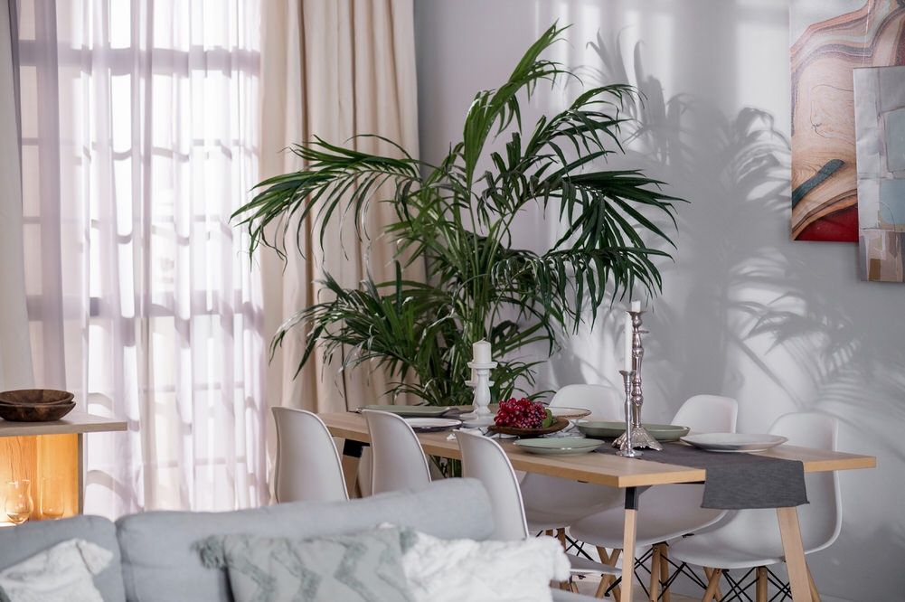 Аренда фотостудии Prostyle Зал APARTMENT в Москве | Фото 