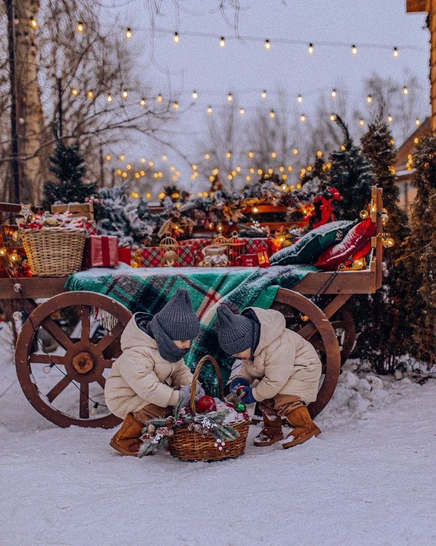 Аренда фотостудии Зоофотостудия Зал Телега в Москве | Фото 