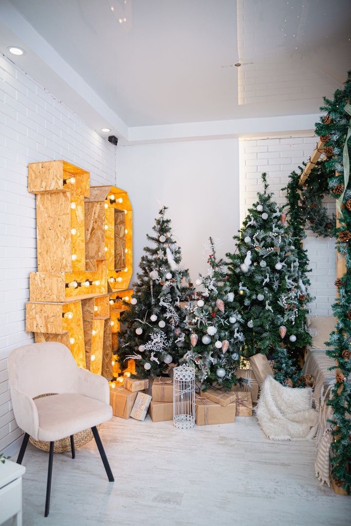 Аренда фотостудии The Mint Зал White Room в Чебоксарах | Фото 