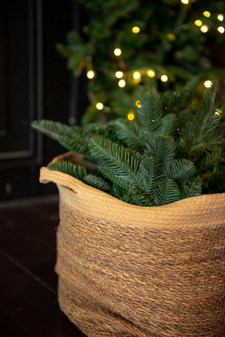 Аренда фотостудии Absolute Studio Зал Craft  в Тольятти | Фото 