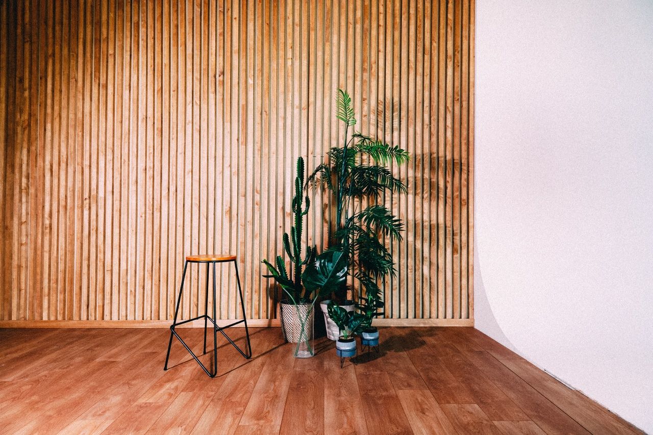 Аренда фотостудии Клюква Зал Клюква  В Ульяновске | Фото 