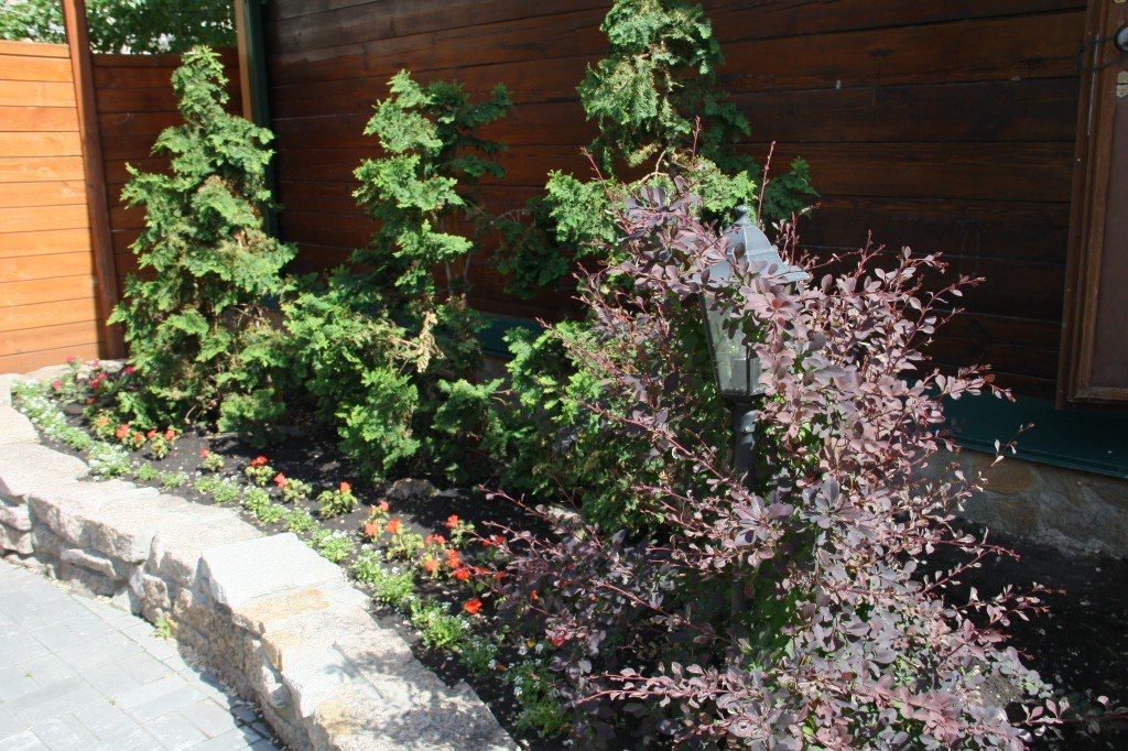 Аренда фотостудии Фотография №1 Зал Сад  В Кургане | Фото 