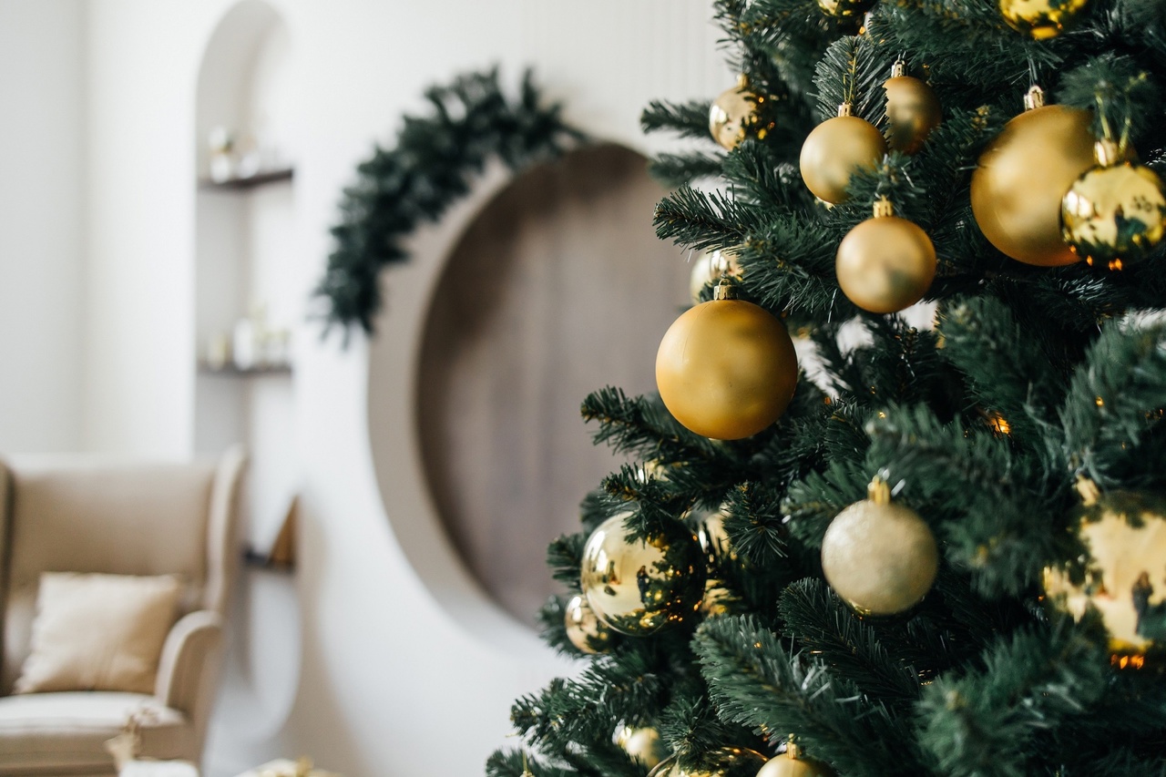 Аренда фотостудии Modern Зал Memphis  в Санкт-Петербурге | Фото 