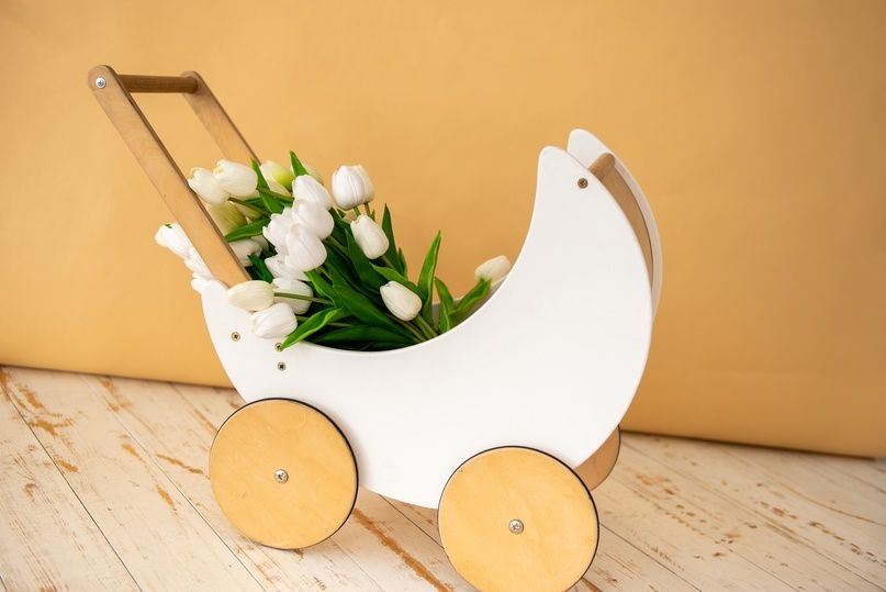 Аренда фотостудии Absolute Studio Зал White  в Тольятти | Фото 