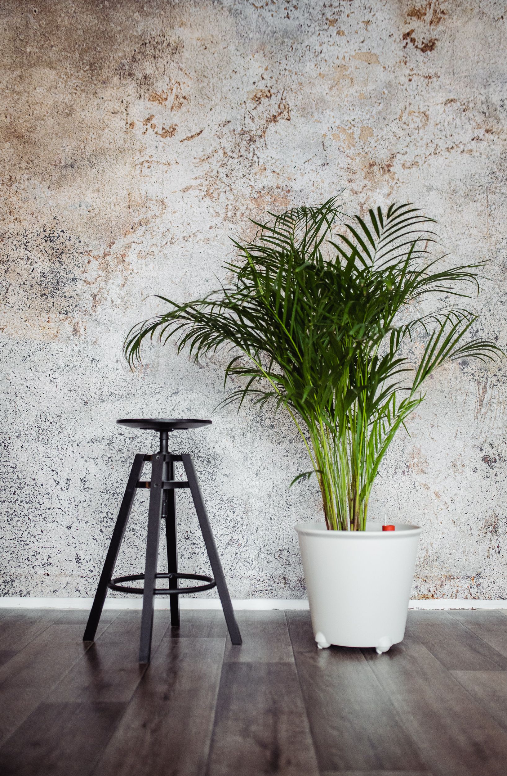 Wynajem studia fotograficznego Studio Selenit Studio Sala Lifestyle w Warszawie | Foto 