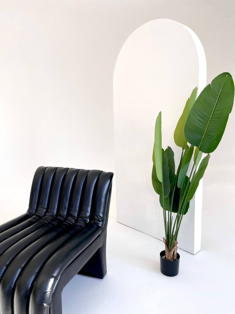 Аренда фотостудии 112 Зал Основной  В Улан-Удэ | Фото 