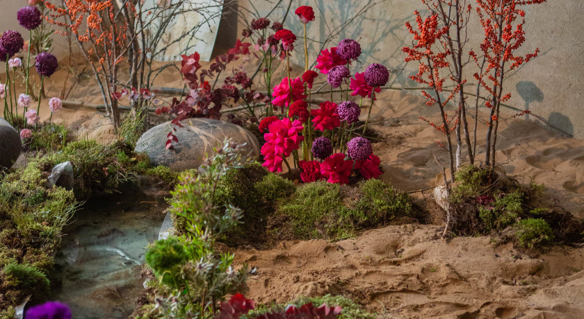 Изображение статьи