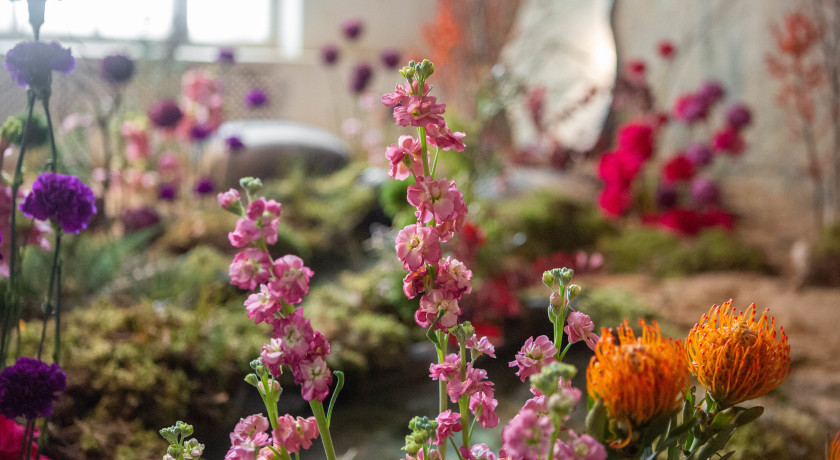 Аренда фотостудии AALTO PHOTOSTUDIO Зал Пустыня в Санкт-Петербурге | Фото 