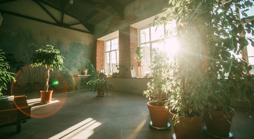 Аренда фотостудии ВЕРЕТЕНО Зал САД в Санкт-Петербурге | Фото 