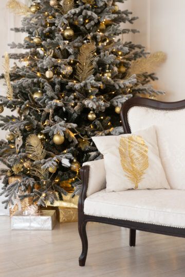 Аренда фотостудии Фотостудия NEOSTUDIO Зал Зал Роял в Минске | Фото 