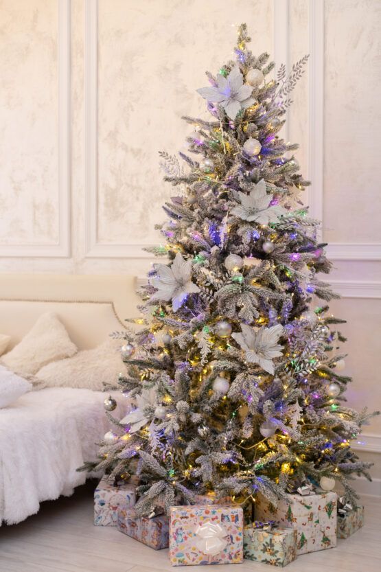 Аренда фотостудии Фотостудия NEOSTUDIO Зал Зал Роял в Минске | Фото 