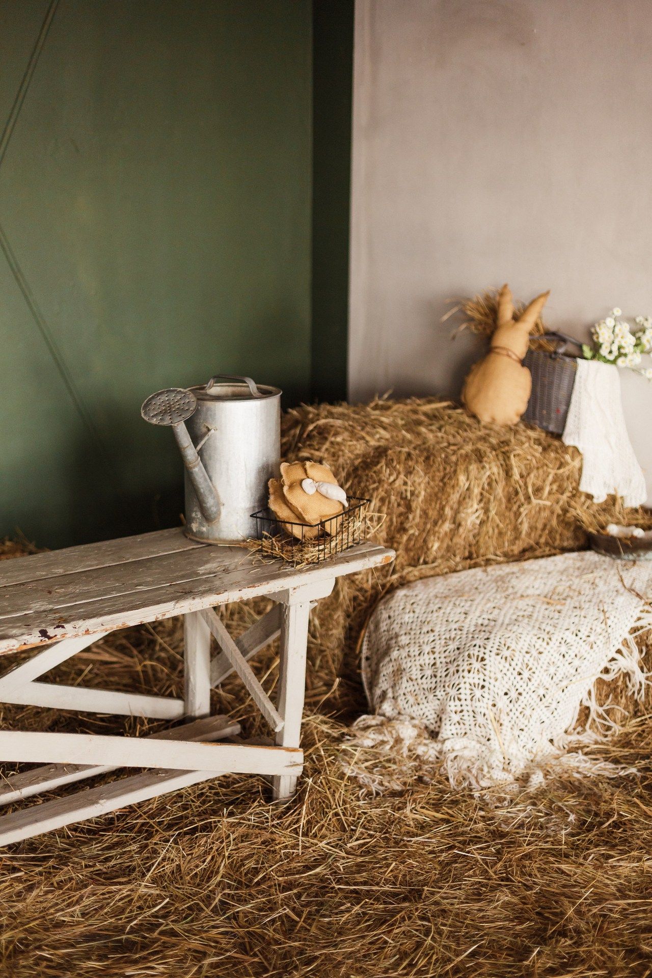Аренда фотостудии Побелка Зал Skandi  В Саратове | Фото 