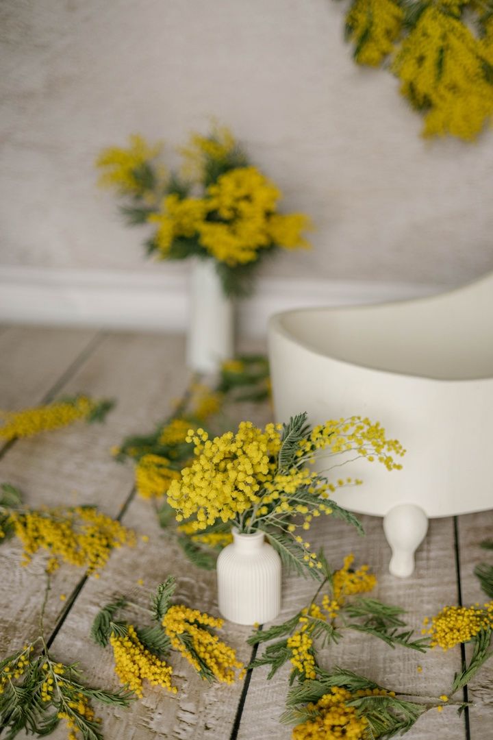 Аренда фотостудии Константа Фэмили Зал Карамель  В Белгороде | Фото 