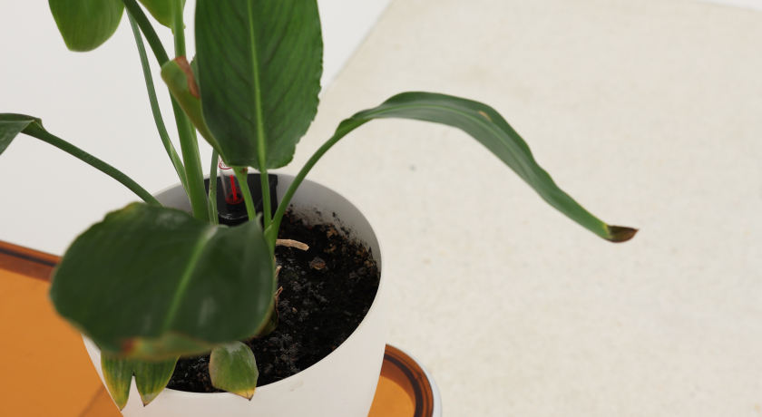 Изображение статьи