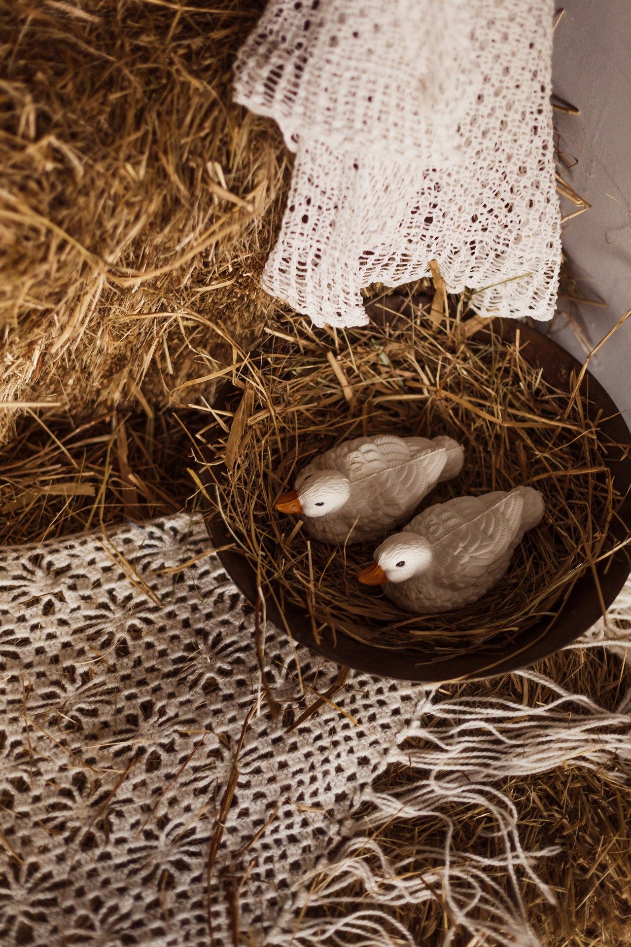 Аренда фотостудии Побелка Зал Skandi  В Саратове | Фото 