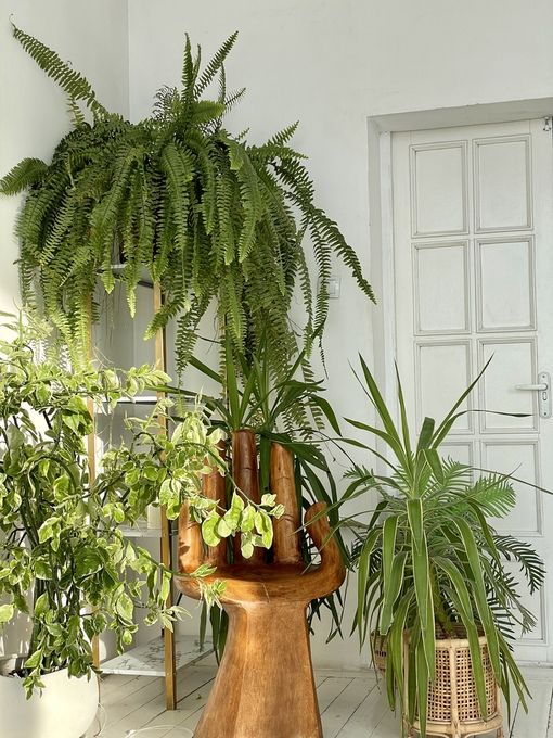 Аренда фотостудии Ампир Зал Зал 1 в Барнауле | Фото 