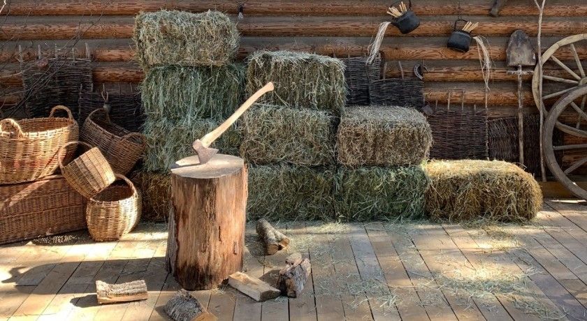 Аренда фотостудии Домик в лесу Зал Рустик. Эко. Вестерн. в Москве | Фото 