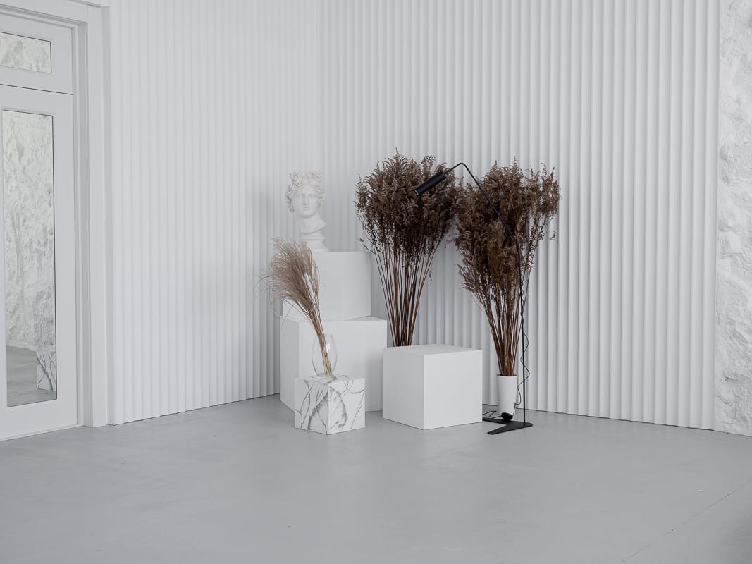 Аренда фотостудии PhotoHub Зал Зал "Висмут" в Минске | Фото 