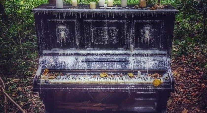 Аренда фотостудии Домик в лесу Зал Пианино в лесу в Москве | Фото 