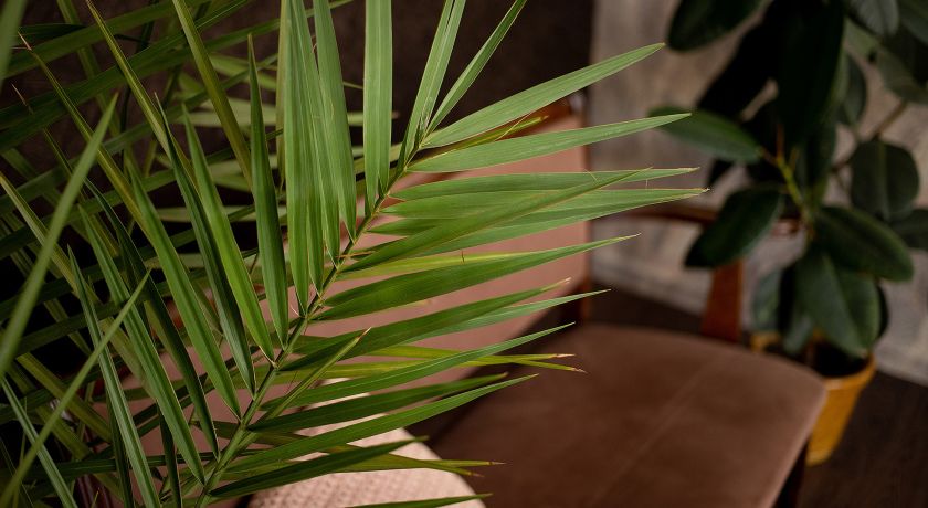 Аренда фотостудии ЛУК Зал Основной в Москве | Фото 