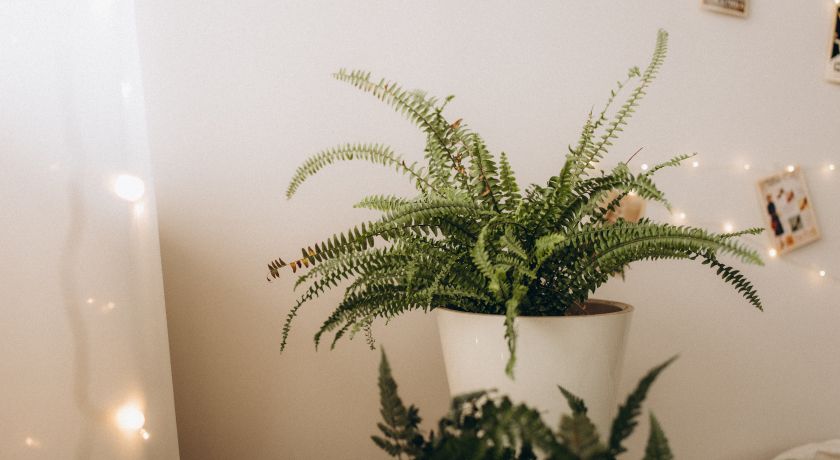 Аренда фотостудии Sunrise place Зал CONTENT  В Иркутске | Фото 