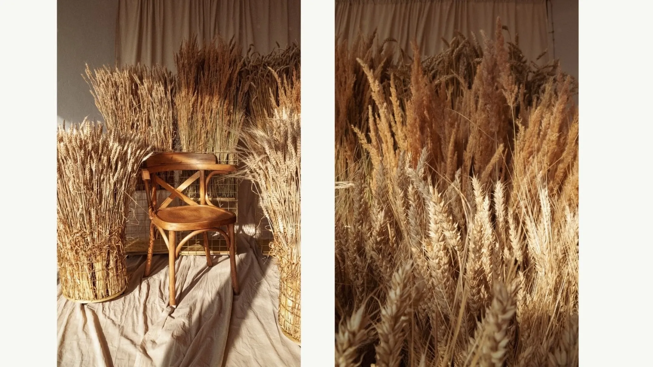 Аренда фотостудии Tick Studio Зал Italy  в Москве | Фото 