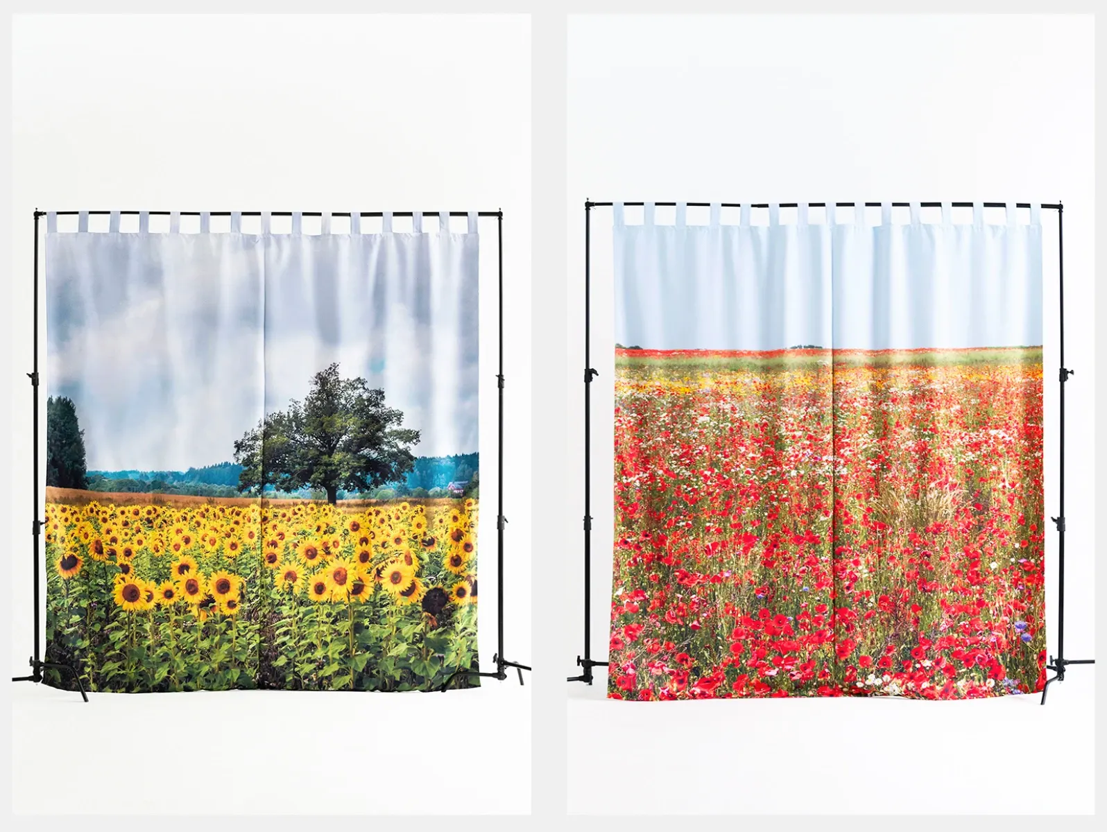 Аренда фотостудии 0603st на Марьина Роще Зал Forest в Москве | Фото 