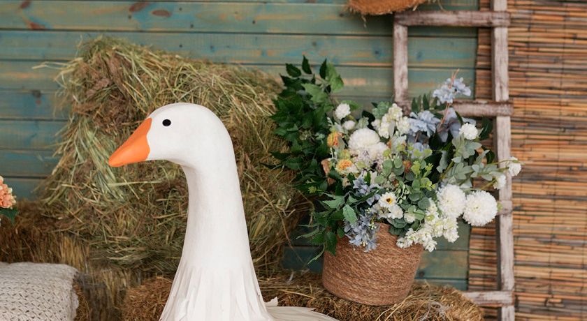 Аренда фотостудии DraganStudio Зал White  в Москве | Фото 