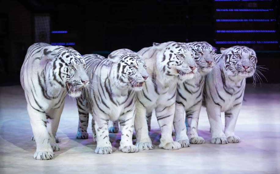 Новостное изображение