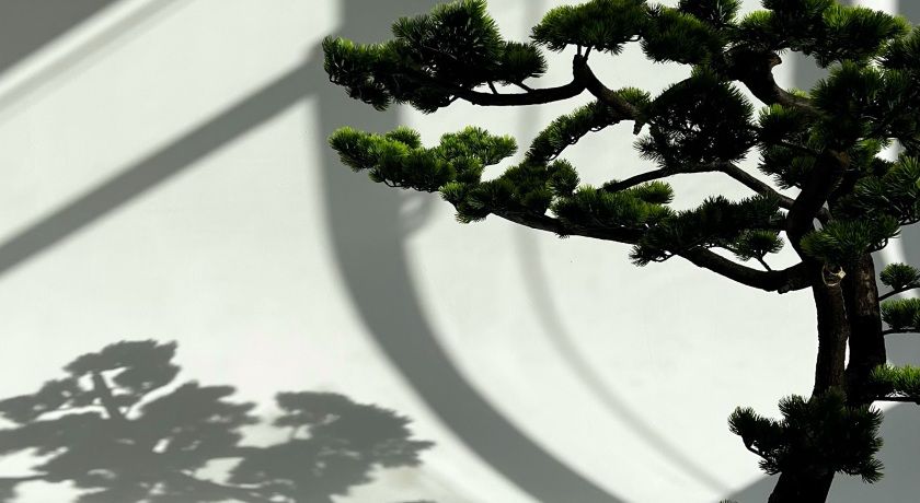 Изображение статьи