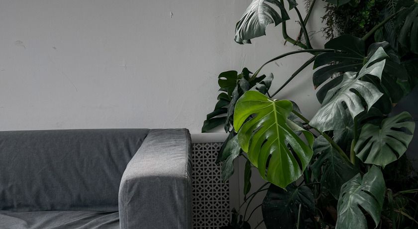 Аренда фотостудии JOY studio Зал Софи  в Москве | Фото 