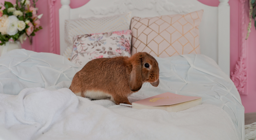 Изображение статьи