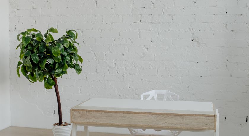 Аренда фотостудии ISO Зал V90  В Саратове | Фото 