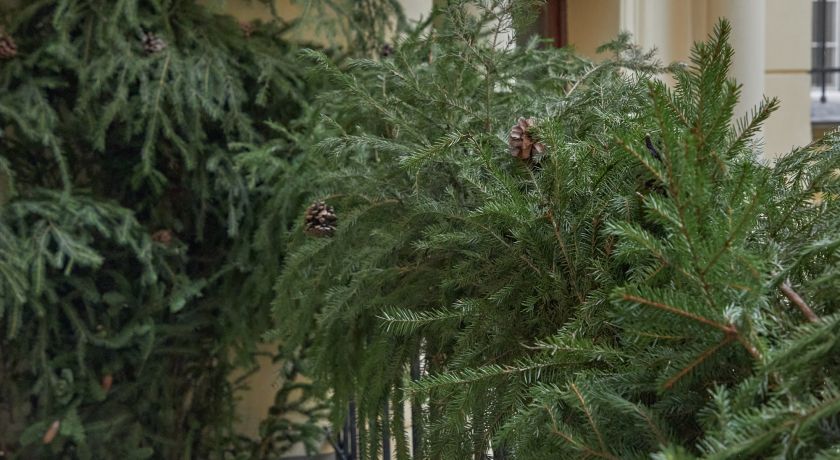 Изображение статьи