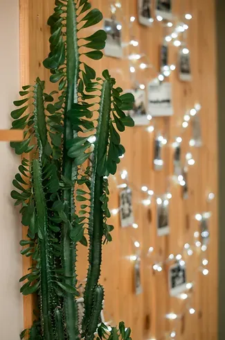 Аренда фотостудии Homestudio.cheb Зал Основной  в Чебоксарах | Фото 