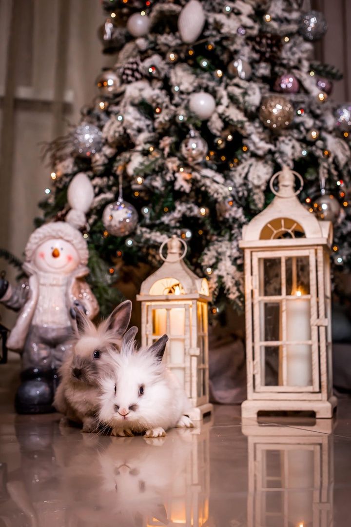 Изображение статьи