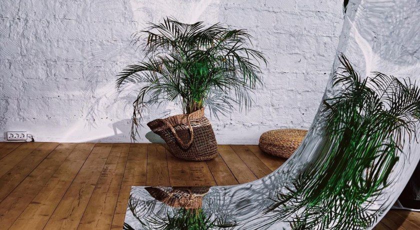 Аренда фотостудии No name photostudio Зал No Name в Москве | Фото 