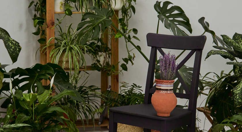 Изображение статьи