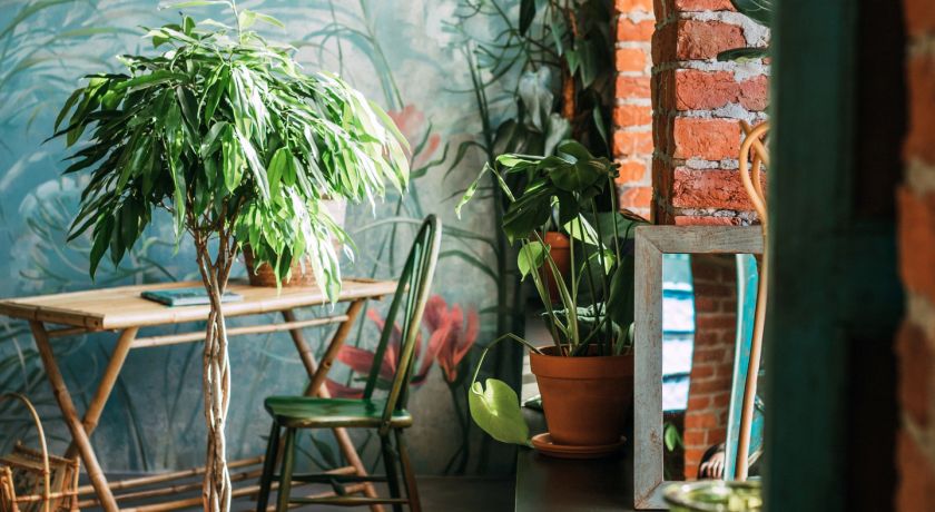 Аренда фотостудии ВЕРЕТЕНО Зал САД в Санкт-Петербурге | Фото 