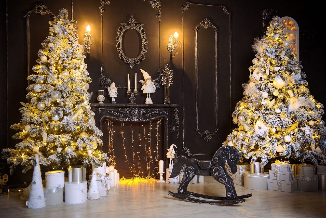 Аренда фотостудии на Ботевградской Зал Основной  В Саранске | Фото 