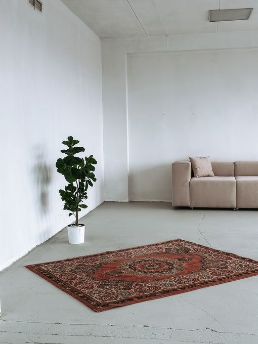 Аренда фотостудии Clover Зал Контент В Ульяновске | Фото 